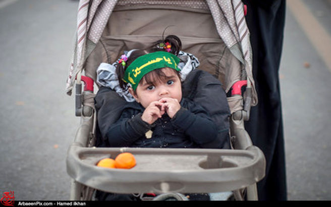 کودکان زائر و خادم الحسین(ع) در پیاده روی کربلاء/تصاویر
