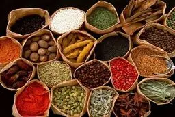 5 گياه فوق العاده برای تقويت حافظه و داشتن مغز هوشيار!