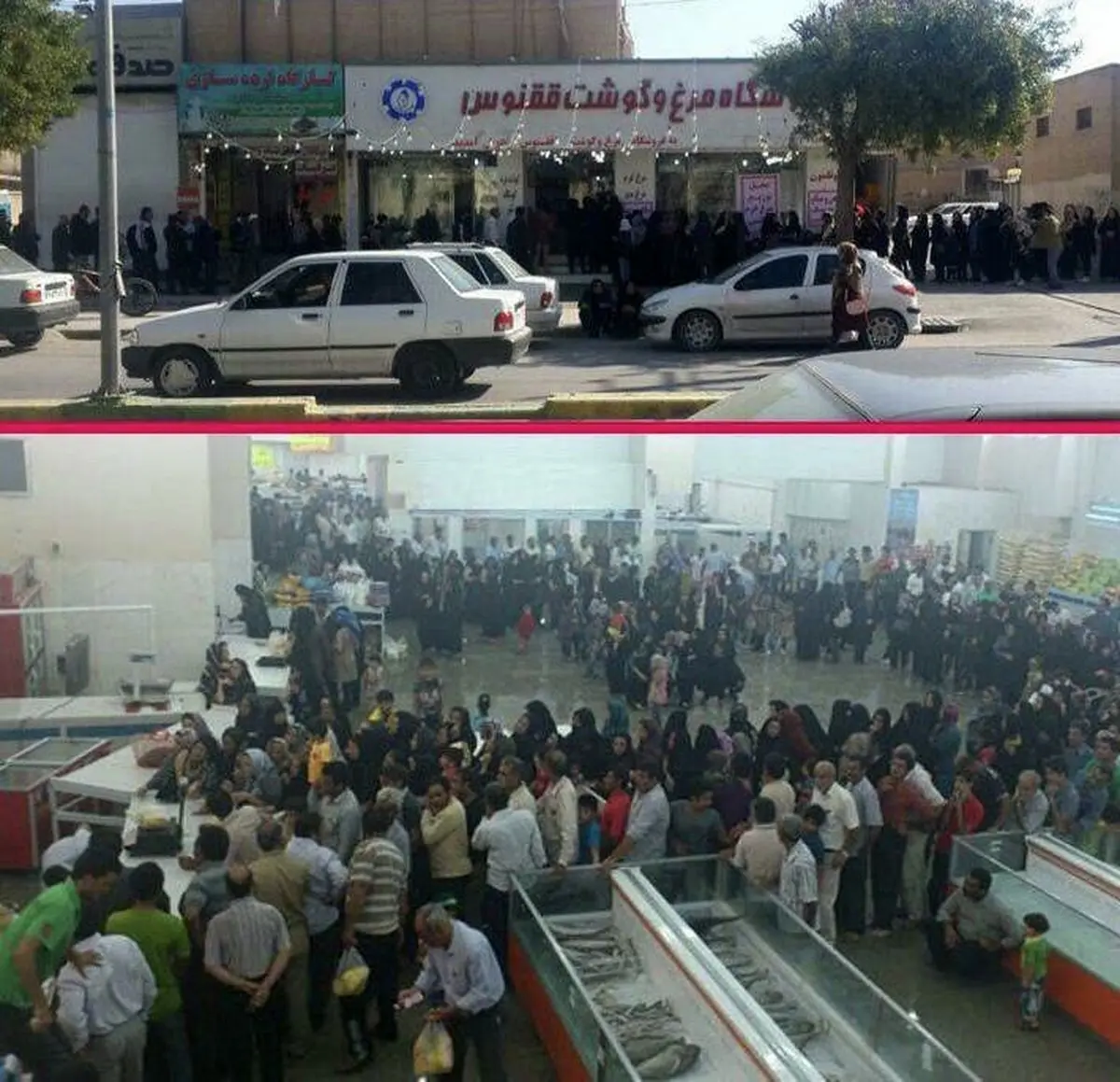 صف طویل مرغ در بوشهر/ عکس