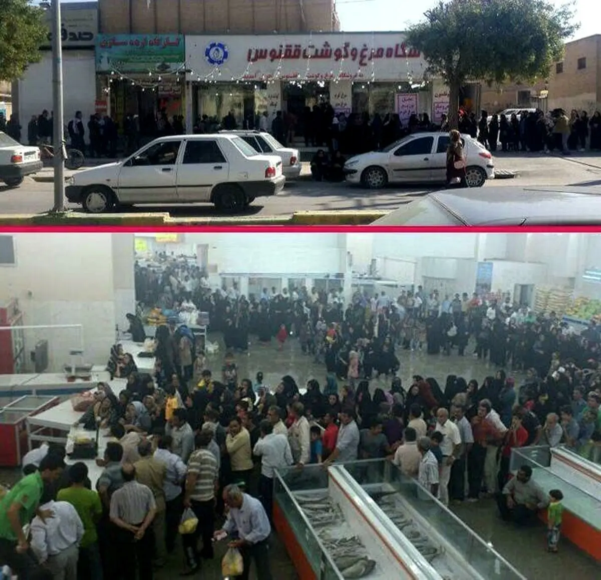 صف طویل مرغ در بوشهر/ عکس