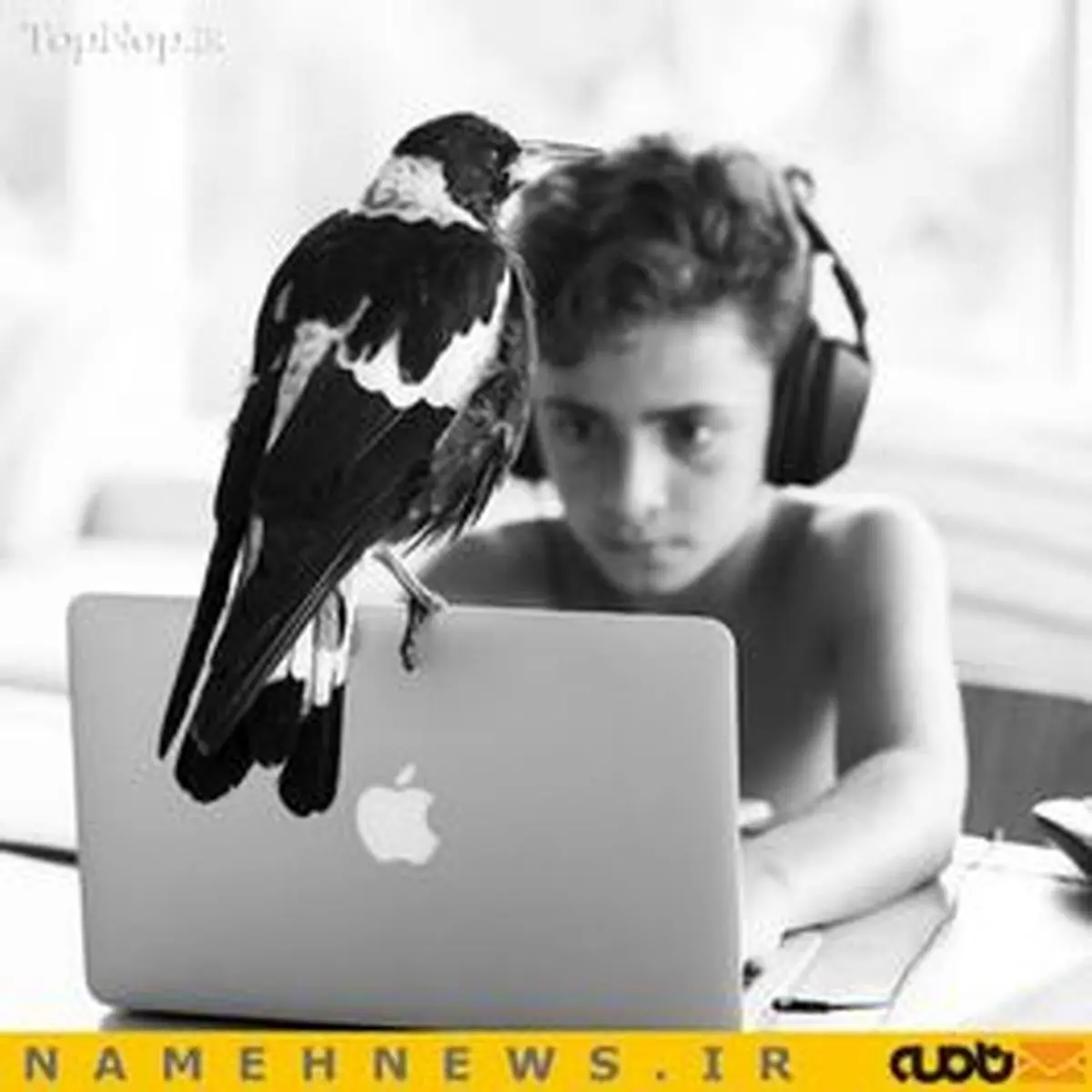 زندگی عاشقانه "پنگوئن" با خانواده بلوم+تصاویر