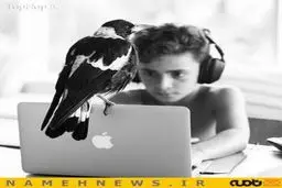 زندگی عاشقانه "پنگوئن" با خانواده بلوم+تصاویر