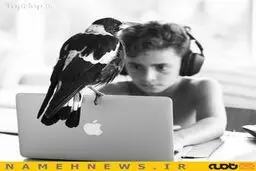زندگی عاشقانه "پنگوئن" با خانواده بلوم+تصاویر
