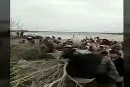 ببینید: سیل در خوزستان