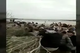 ببینید: سیل در خوزستان