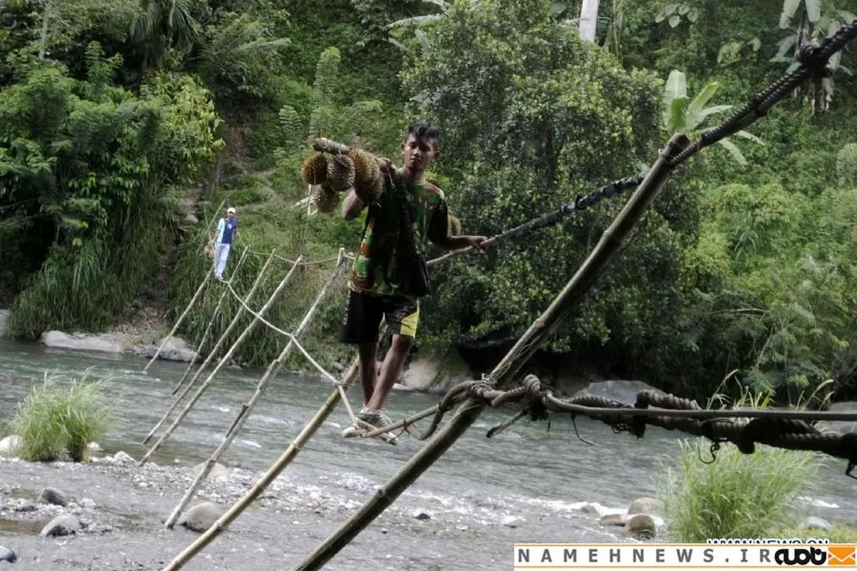 عملیات ژانگلور، بخشی از زندگی این مردم است/ عکس