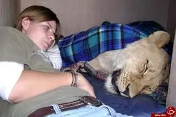 سلطان جنگل هم خانه دختر جوان+ تصاویر