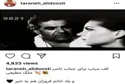 حمایت اینستاگرامی ترانه علیدوستی از ناصر ملک مطیعی/عکس