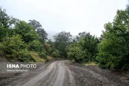 تصاویری فوق العاده از ایران زیبا/ رودبارک