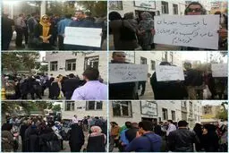 تجمع مالباختگان طلای ثامن / عکس