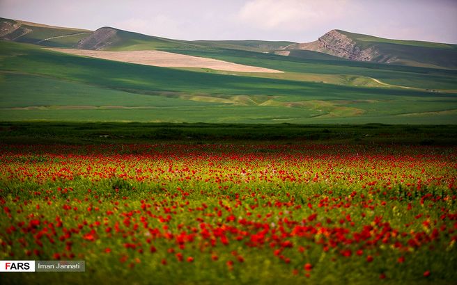 عکس / شیلگان دره خراسان رضوی