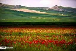 عکس / شیلگان دره خراسان رضوی