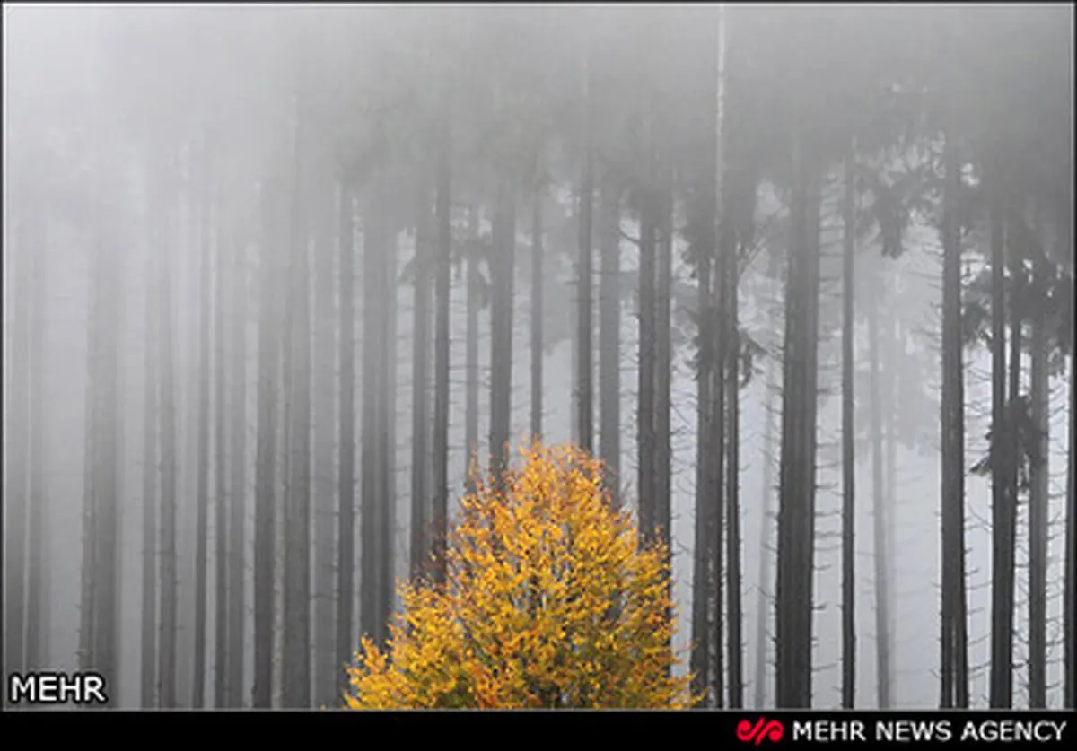 تصاویر دیدنی از طبیعت زیبای پاییزی در جهان