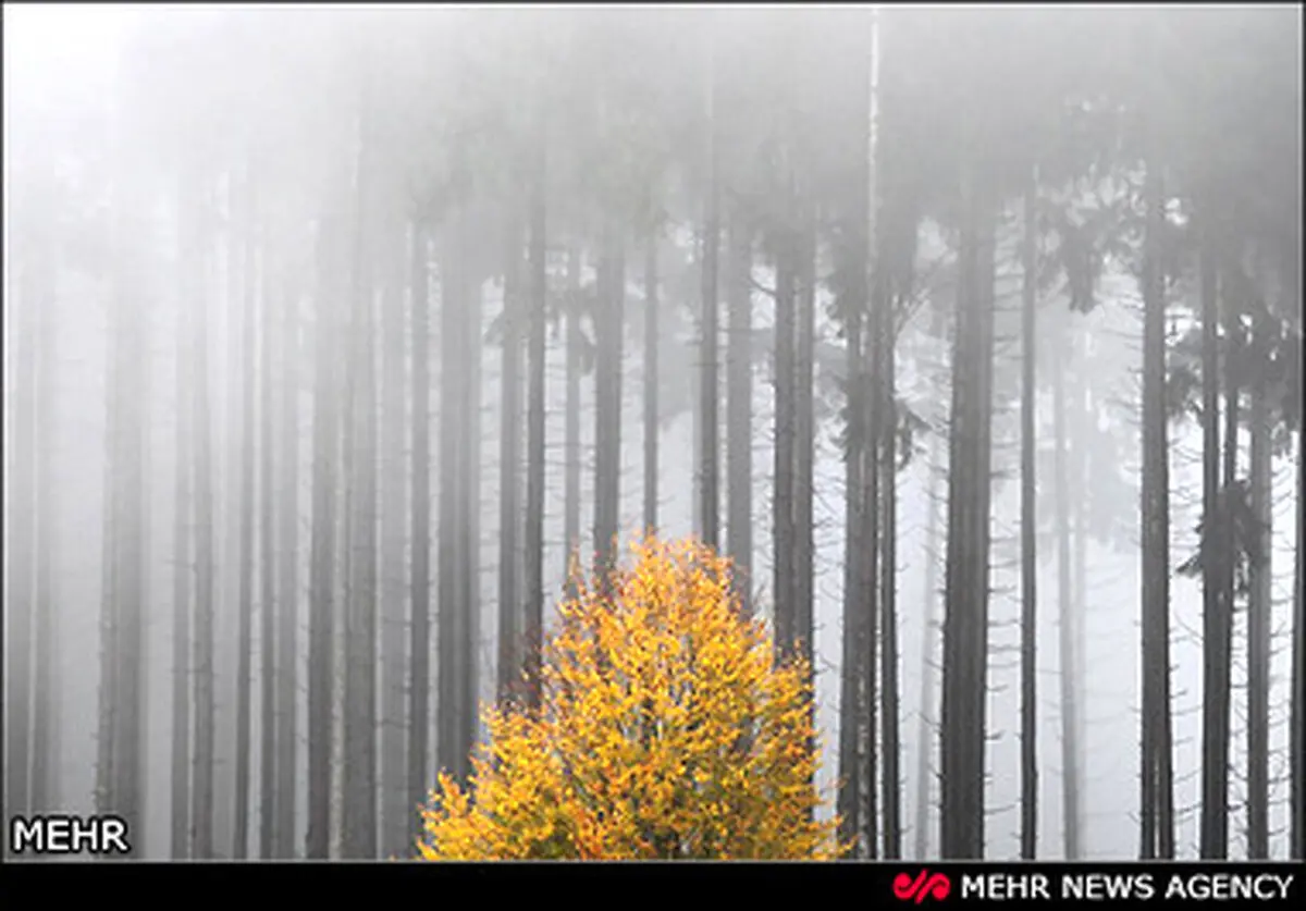 تصاویر دیدنی از طبیعت زیبای پاییزی در جهان