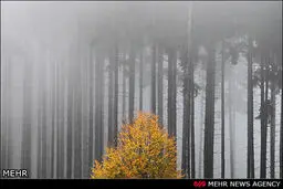 تصاویر دیدنی از طبیعت زیبای پاییزی در جهان