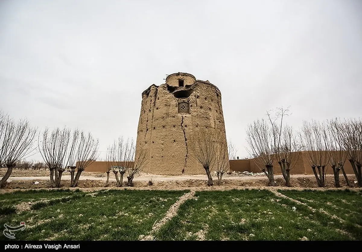 در این روستا کبوترها، «برج» دارند /تصاویر