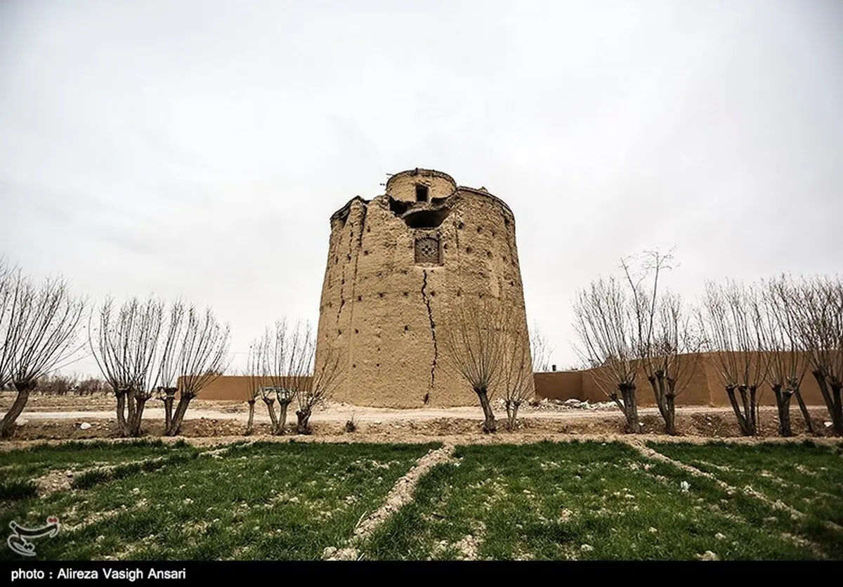 در این روستا کبوترها، «برج» دارند /تصاویر