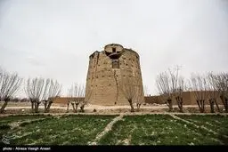 در این روستا کبوترها، «برج» دارند /تصاویر
