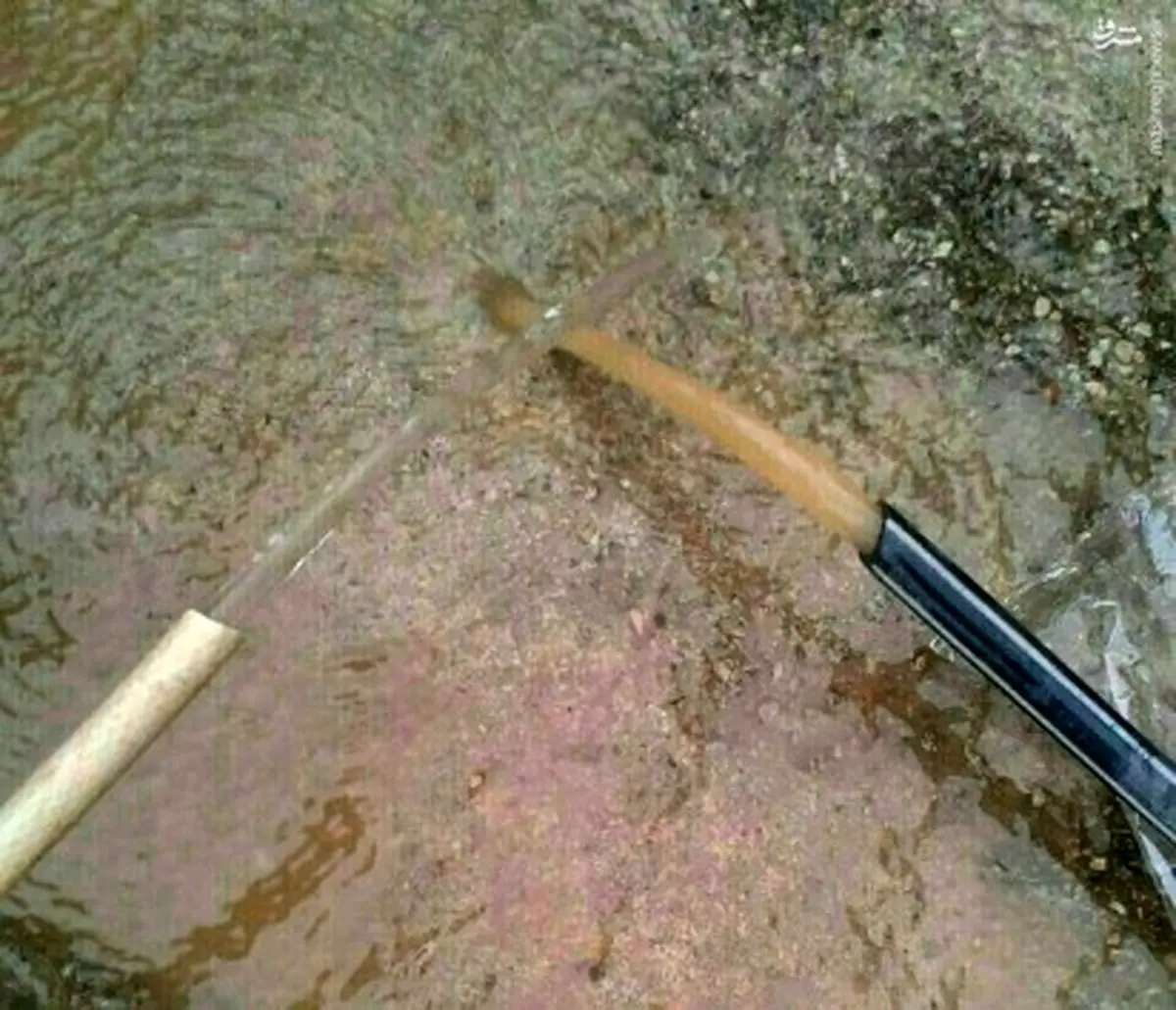 تفاوت آب لوله کشی اهواز با آب آشامیدنی/عکس