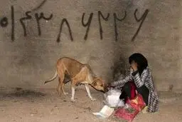 زندگی کارتن خواب ها/ تصاویر