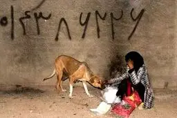 زندگی کارتن خواب ها/ تصاویر