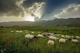 تصاویری از طبیعت بهشتی در تالش