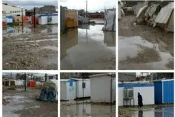 زیبا کلام: پول سر پل ذهاب را خوردم ! / لازم است مدعی العموم ورود کند؟