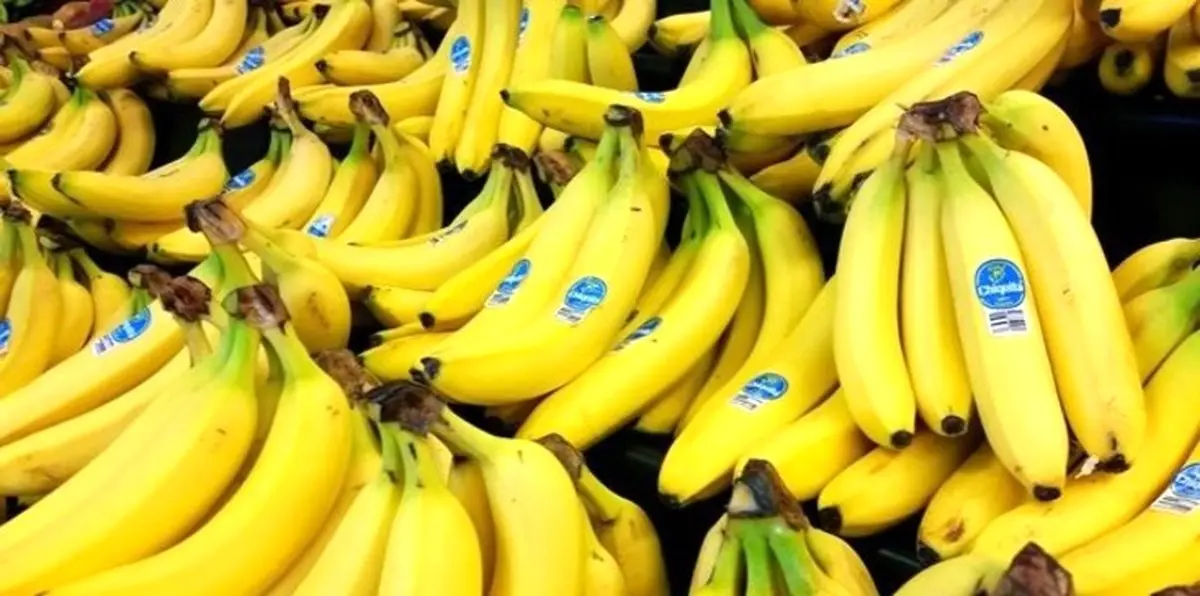 قیمت‌ مصوب موز در میادین تر بار اعلام شد!