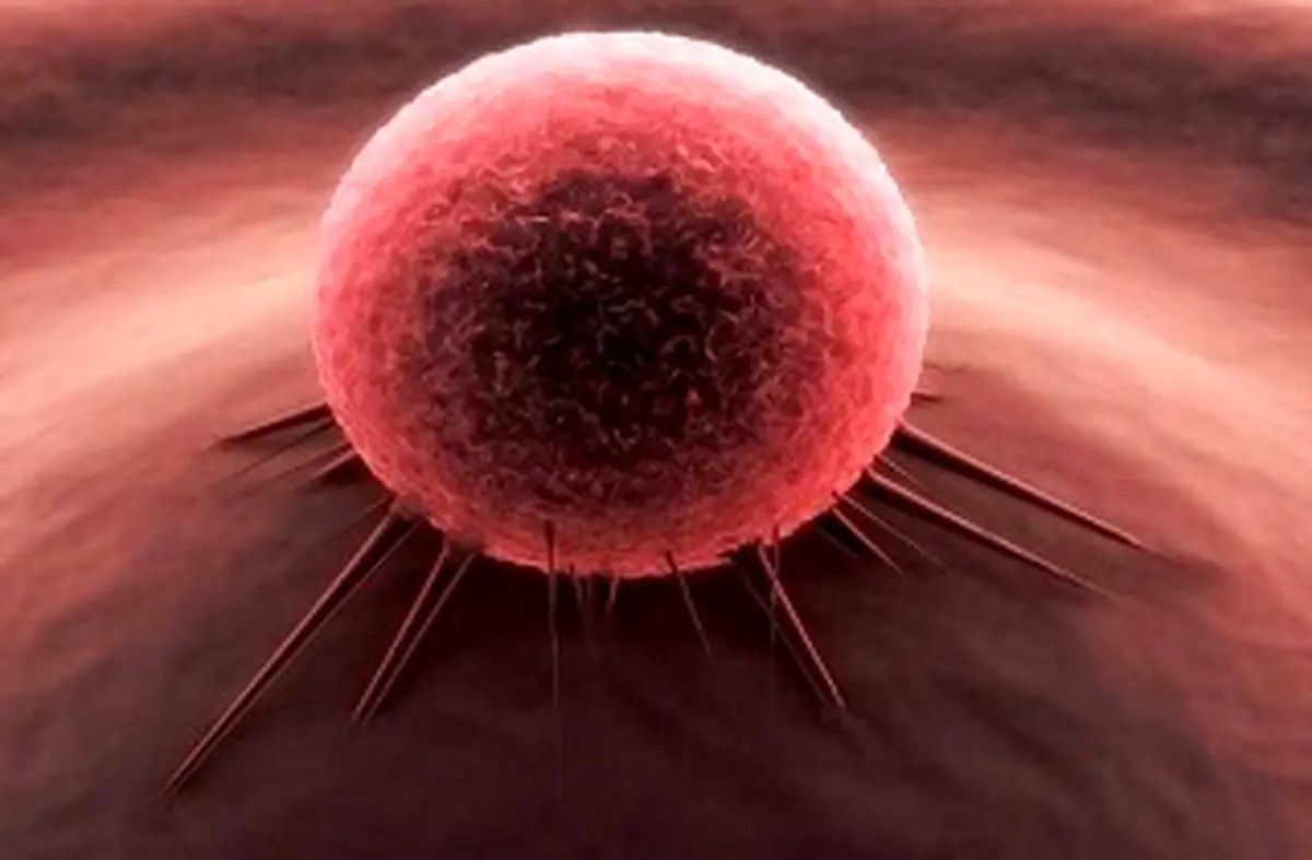 با این تکنیک ها سرطان نمی گیرید