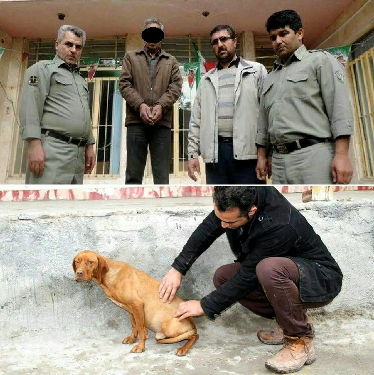 بازداشت عامل حیوان‌آزاری گلستان