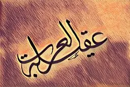 السلام علیک یا عقیله العرب، یا زینب کبری/عکس