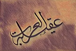 السلام علیک یا عقیله العرب، یا زینب کبری/عکس