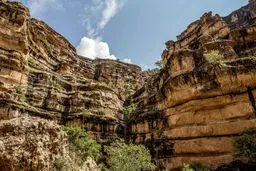 عکس / دره ای شگفت انگیز در لرستان