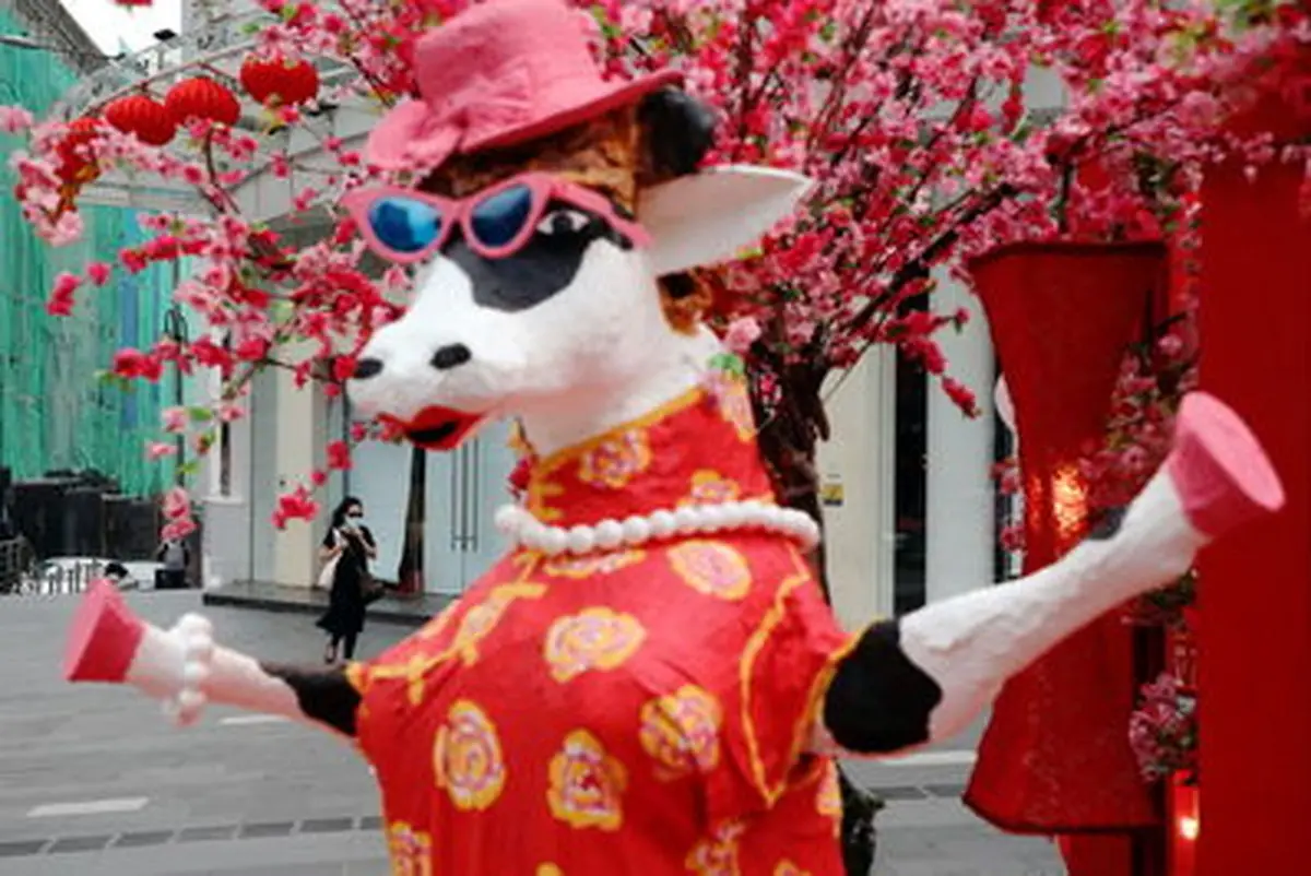 تصاویر جذاب از جشن سال نو قمری در کشور‌های گوناگون