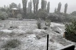 پاییز سفيد پوش شد/عکس