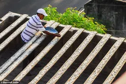 مرد پرنده‌ای + تصاویر