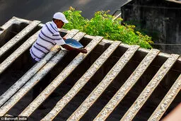 مرد پرنده‌ای + تصاویر