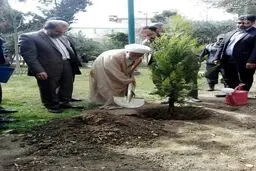آیت الله جنتی هم درخت کاشت /عکس