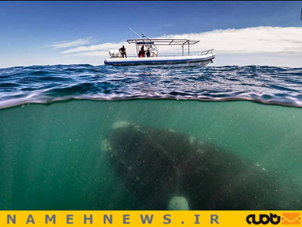 حادثه در کمین است / عکس