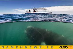 حادثه در کمین است / عکس