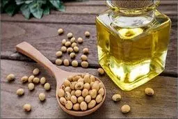 ترکیب سویا به مقابله با سرطان سینه کمک می کند