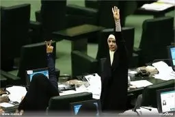 حاشیه های صحن علنی مجلس/تصاویر