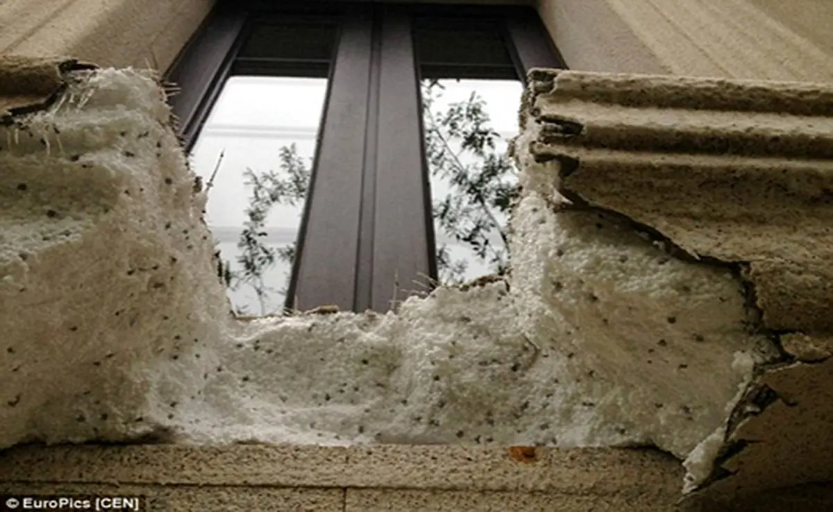 خانه ای عجیب که با فوم ساخته شده + تصاویر