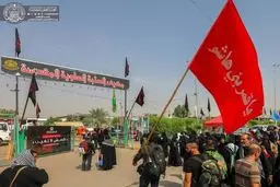 موکب خادمان حرم حضرت علی(ع) در مسیر کربلا / تصاویر