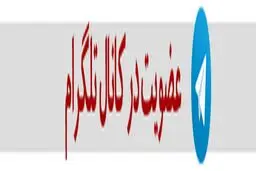دستگيری عامل دستبرد به ۵ هزار حساب بانکی