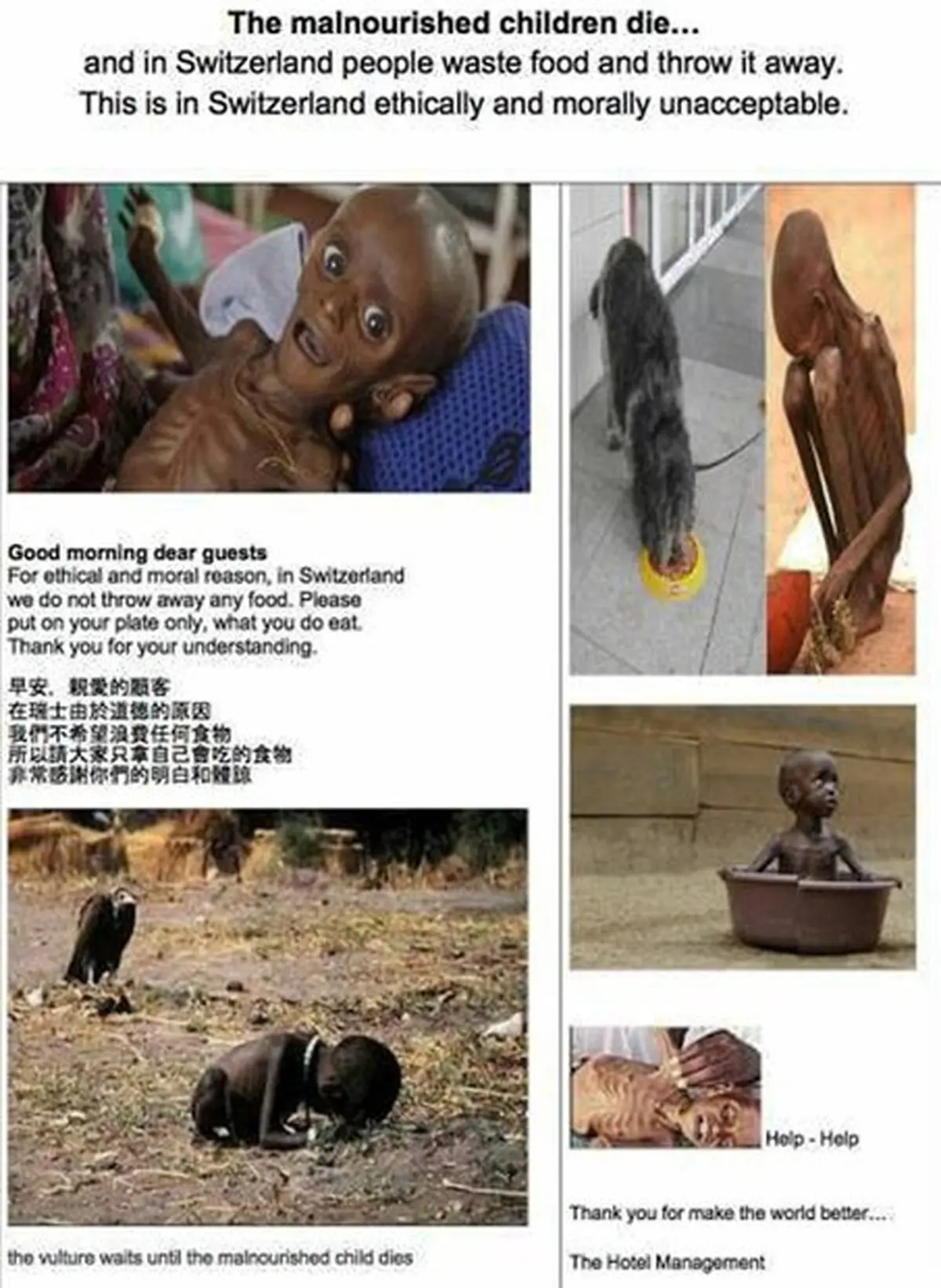 اقدام بشردوستانه هتل سوئیسی+ عکس