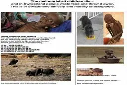 اقدام بشردوستانه هتل سوئیسی+ عکس