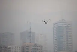 ۹ توصیه مهم اورژانسی در پی تشدید آلودگی هوا / پس از مراجعت به منزل حتما دوش بگیرید