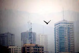 ۹ توصیه مهم اورژانسی در پی تشدید آلودگی هوا / پس از مراجعت به منزل حتما دوش بگیرید