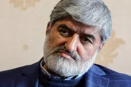 علی مطهری: مجمع تشخیص خودش مانند مجلس سنا عمل می‌کند